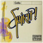 Thomastik Spirit 4/4 Cello G String Chrome Wound