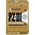 Radial PZ-DI Instrument DI Box