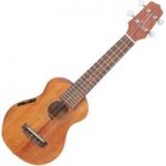 Takamine EGU-S1 Electro Acoustic Soprano Ukulele Natural