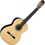 Takamine H8SS Acoustic Classical Guitar Natural