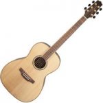 Takamine GY93-NAT New Yorker Acoustic Guitar Natural