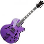 Hofner Gold Label New President Archtop Electric Guitar Gloss Purple