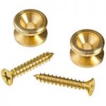 Planet Waves Solid Brass End Pins Brass (Pair)
