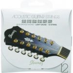 Ibanez IACS12C 12 Strings Acoustic Set
